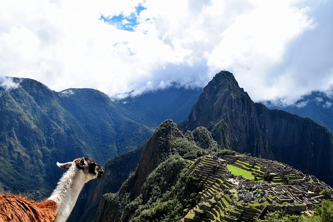 Machu Picchu Official Entrance Ticket