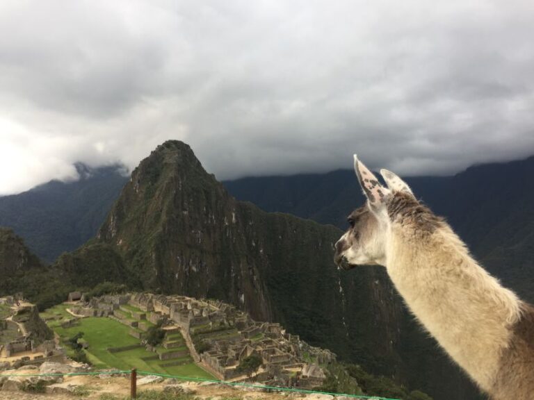 Machu Picchu: Private Tour Guide Service