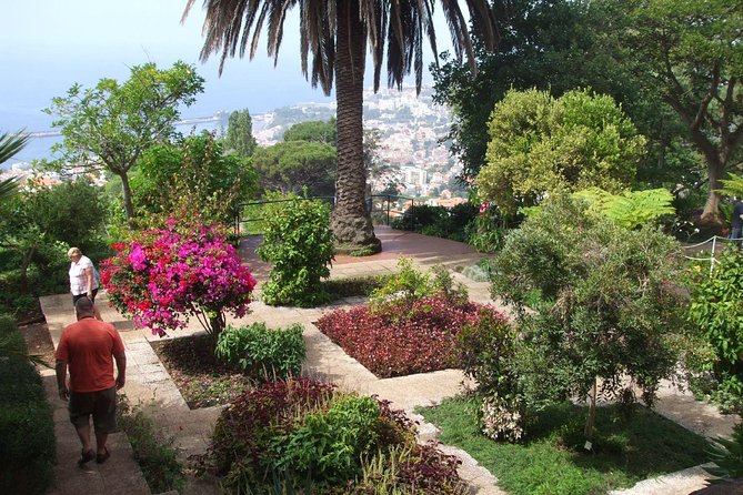 Madeira Botanical Garden: Private Tour With Round-Trip Tuk-Tuk  – Funchal