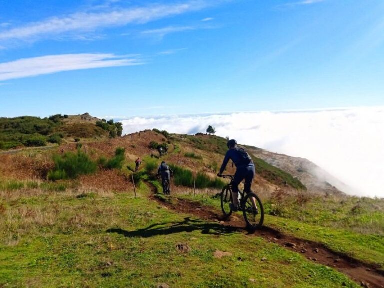 Madeira Cross Country Tour Mountain Bike Experience