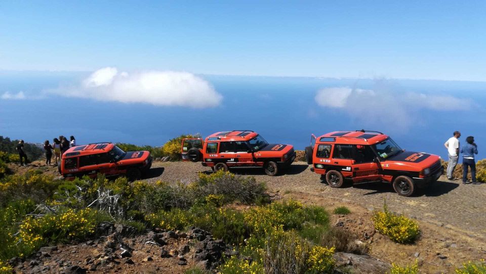 Madeira: Full-Day Porto Moniz Jeep Tour - Experience Highlights