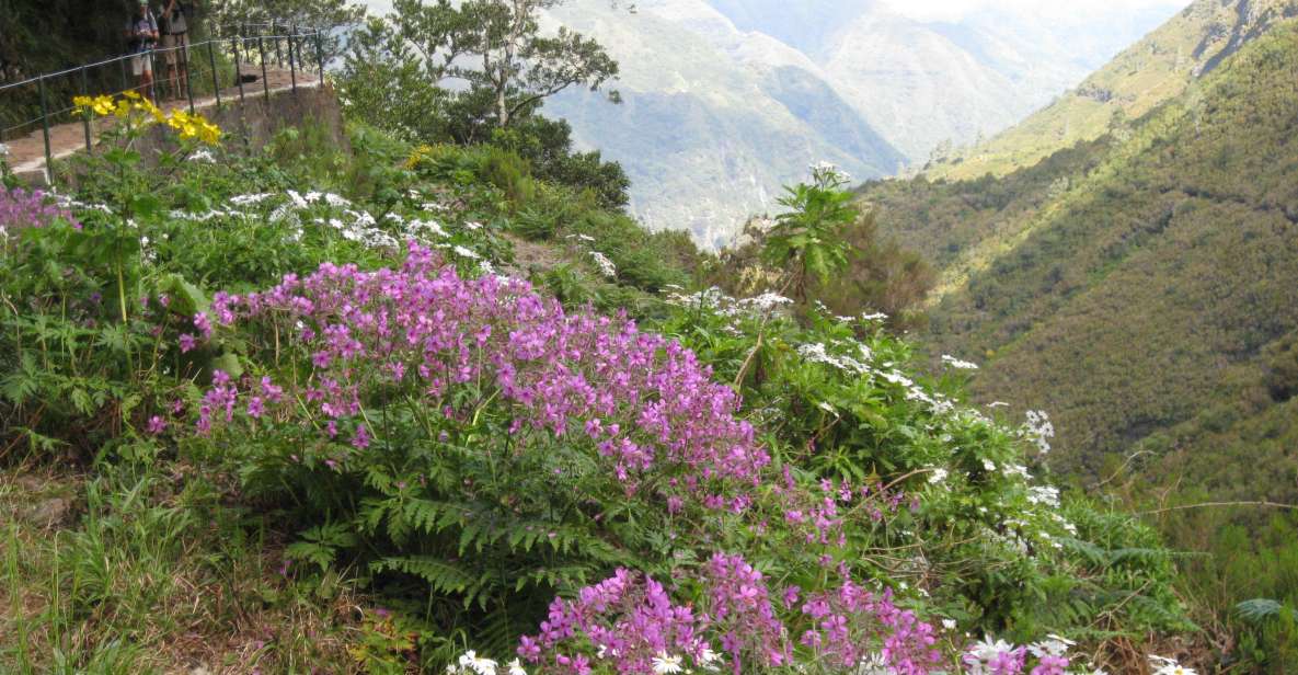 Madeira: Guided Full-Day Rabaçal Walk - Experience Highlights