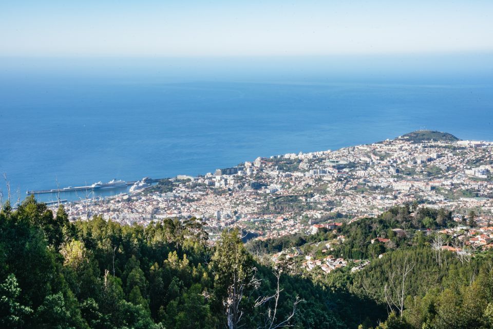 Madeira: Half-Day Pico Arieiro Jeep Tour - Experience Highlights