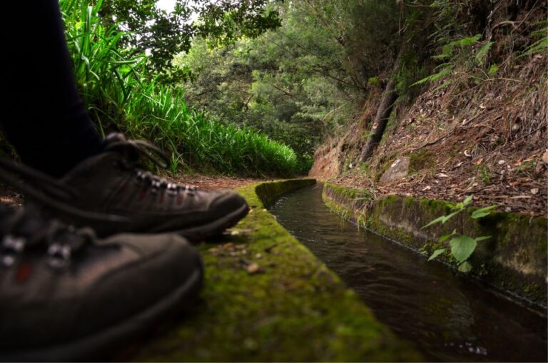 Madeira Island: Caldeirão Verde Levada Walk