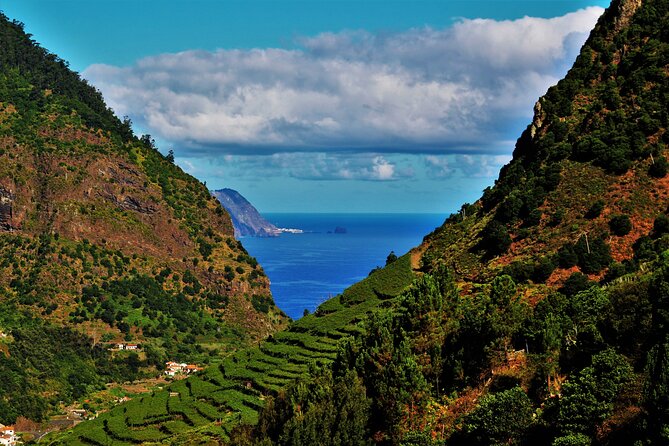 Madeira Island Private Wine Full-Day Tour in All Terrain Vehicle