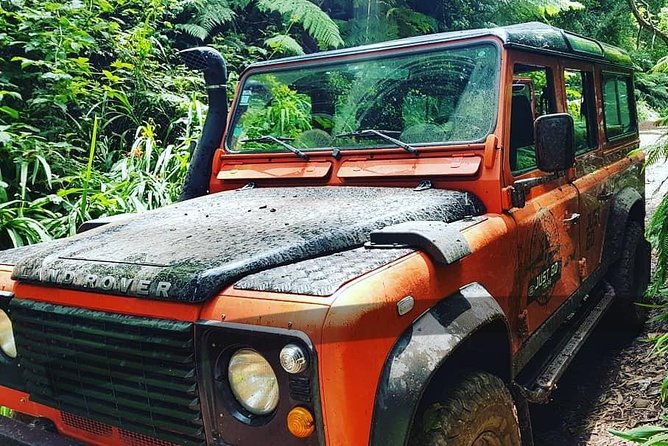 Madeira Jeep 4×4: Old Forest Full-Day Tour Incl Pico Arieiro