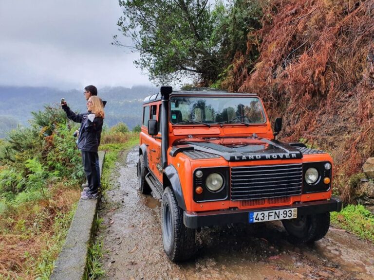 Madeira: Jeep 4×4 Old Forest Safari Tour With Pico Arieiro