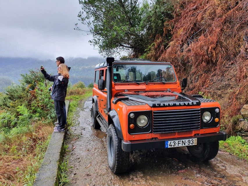 1 madeira jeep 4x4 old forest safari tour with pico arieiro Madeira: Jeep 4x4 Old Forest Safari Tour With Pico Arieiro