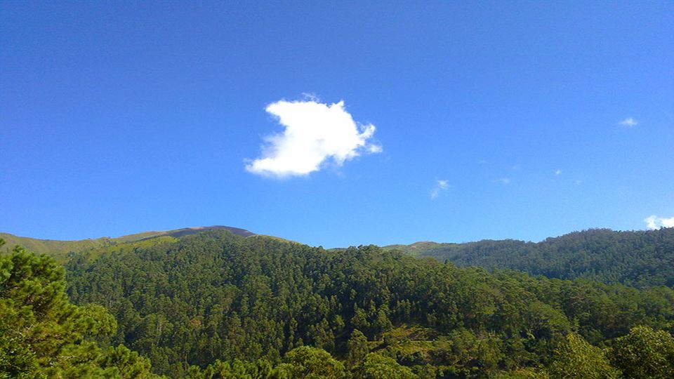 1 madeira levada calheta to prazeres private walking tour Madeira: Levada Calheta to Prazeres Private Walking Tour