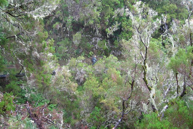 Madeira Levada Walk – Rabacal Lakes and Fountains