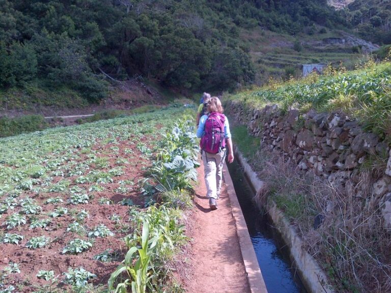 Madeira: Maroços Landscapes 2.5-Hour Guided Walk