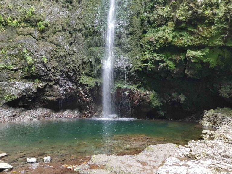 Madeira: Private Guided Levada Caldeirão Verde Walk PR9