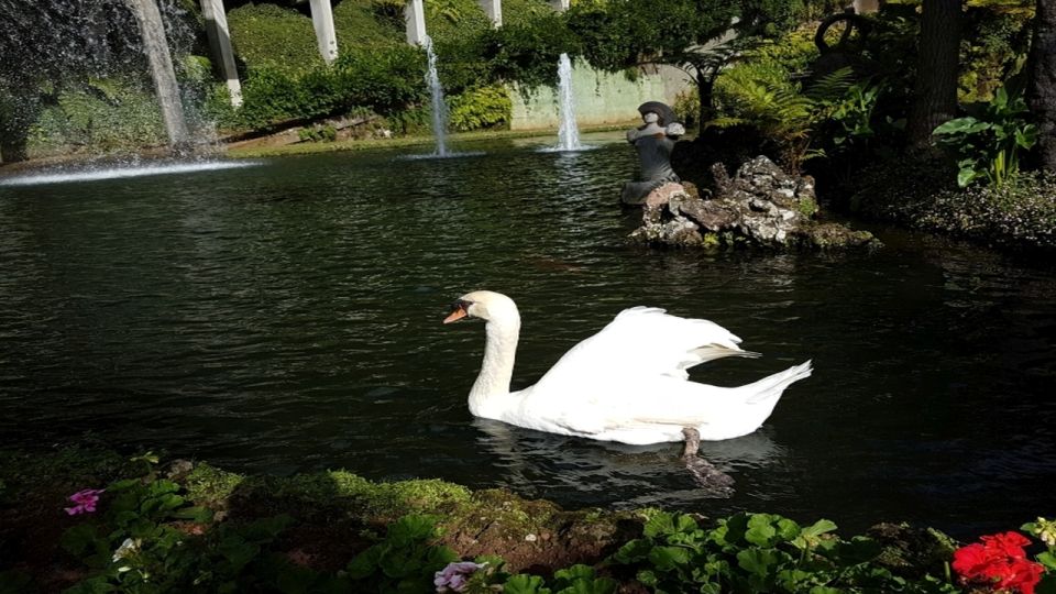 1 madeira private half day guided gardens tour Madeira: Private Half-Day Guided Gardens Tour