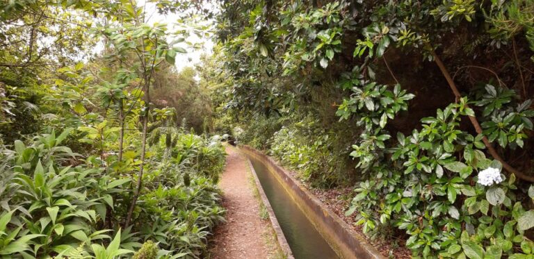 Madeira: Private Levada Fajã Dos Rodrigues Walk