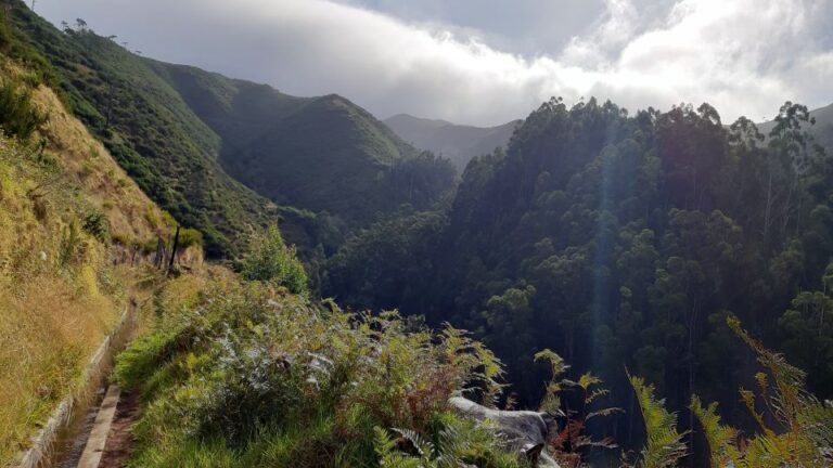 Madeira: Private Levada Ponta Do Pargo Walk