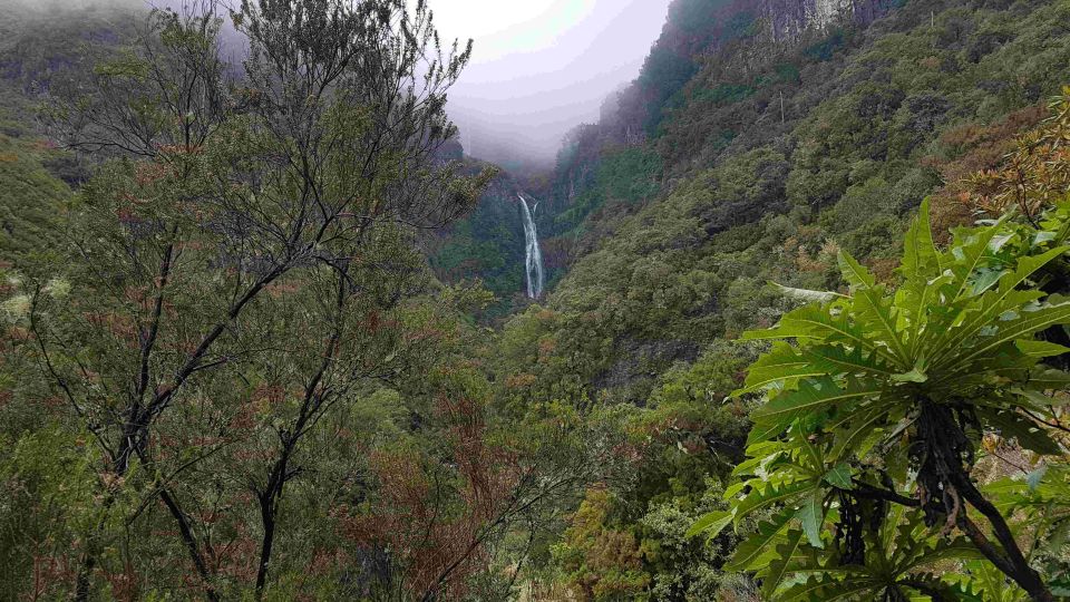 Madeira: Private Walking Tour of Levada Das 25 Fontes PR6