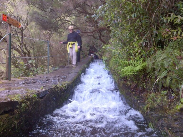 Madeira: Rabaçal Valleys 3-Hour Guided Walk