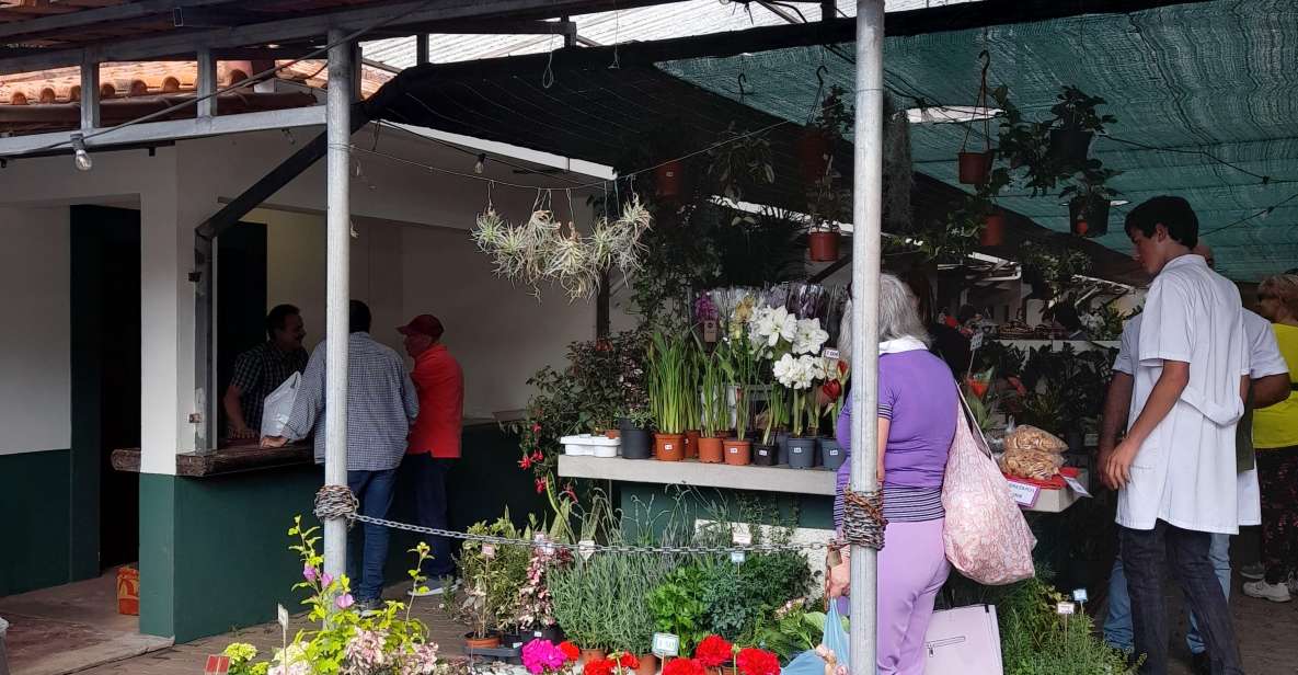 1 madeira sunday market in santo da serra Madeira: Sunday Market in Santo Da Serra