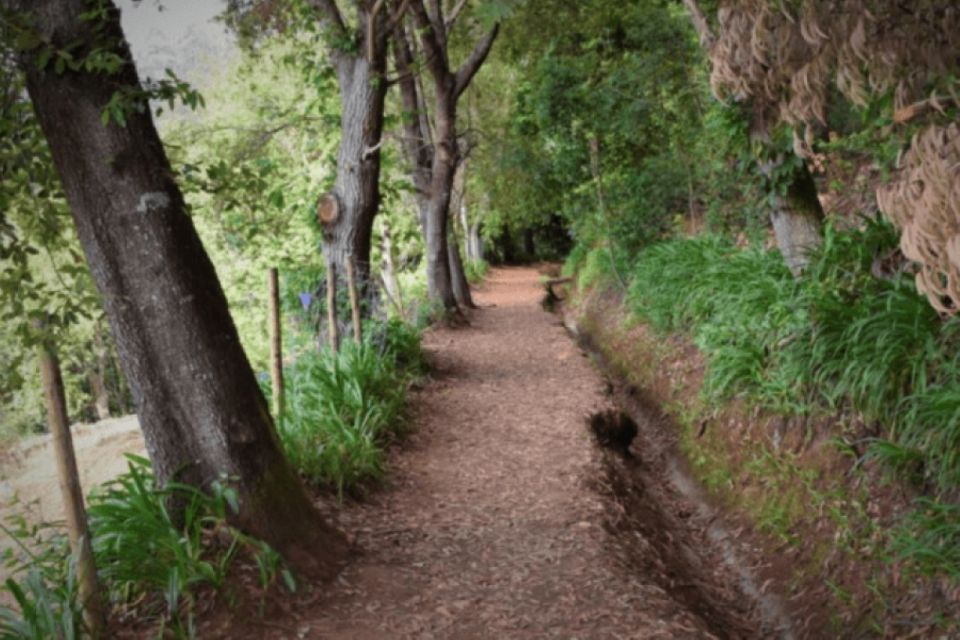 1 madeira walking tour vale paraiso rochao Madeira: Walking Tour - Vale Paraíso / Rochão