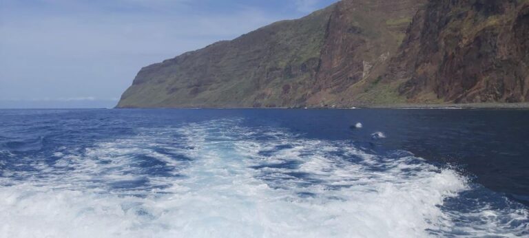 Madeira: Yacht Tours – Wildlife & Bays, Sunset, Desert Isles