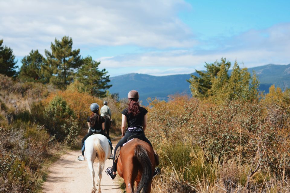 1 madrid horse riding in sierra del guadarrama national park Madrid: Horse Riding in Sierra Del Guadarrama National Park