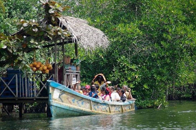 Madu River Boat Safari Balapitiya