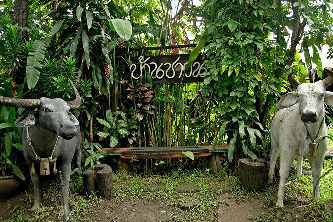 Mae Ping River Boat Ride From Chiang Mai With Lunch