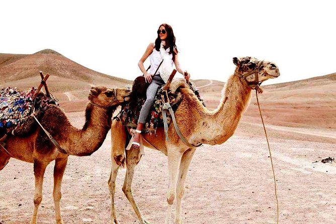 Magical Dinner on Sunset in Agafay Desert and Camel Ride