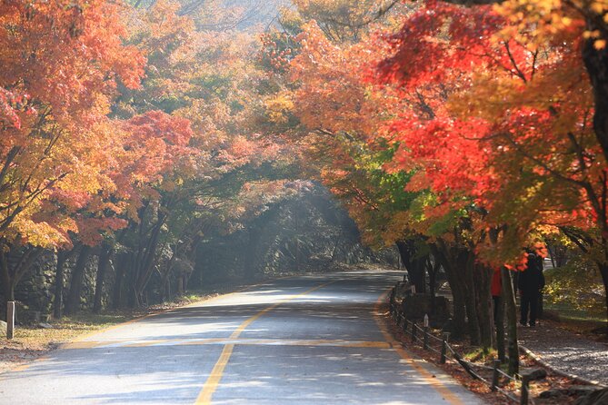 Magnificent Naejangsan National Park Autumn Foliage Tour From Seoul