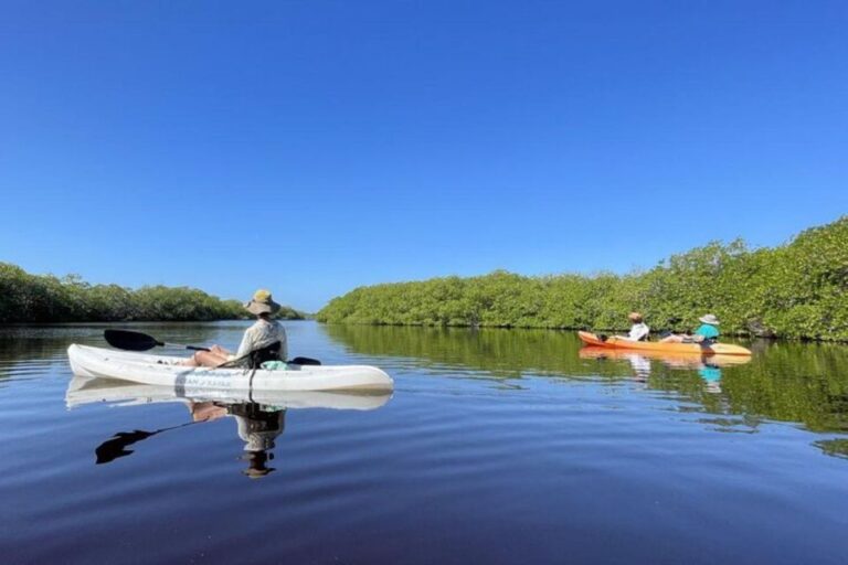 Mahahual: Kayaking in the Mangroves Experience