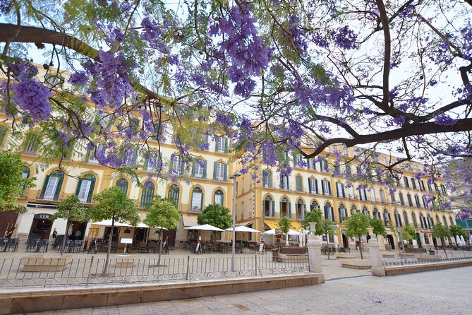 Malaga Private Walking Tour