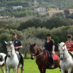 1 mallorca guided horseriding tour of randa valley Mallorca: Guided Horseriding Tour of Randa Valley