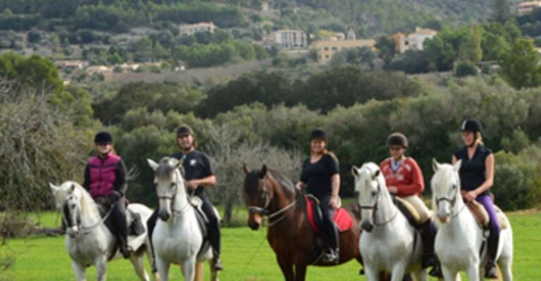 Mallorca: Guided Horseriding Tour of Randa Valley