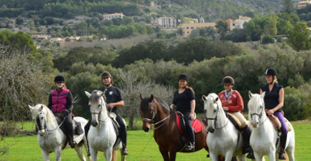 1 mallorca guided horseriding tour of randa valley Mallorca: Guided Horseriding Tour of Randa Valley