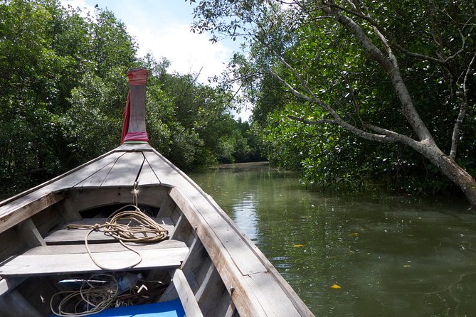 Mangrove Boat Tour in Krabi