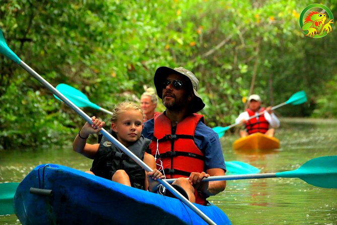 Mangrove Damas Island Kayak Tours