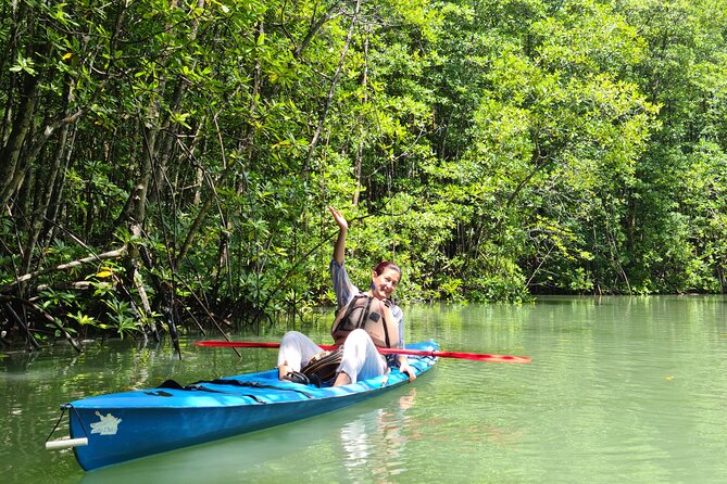 Mangrove Forest Kayak Exploration