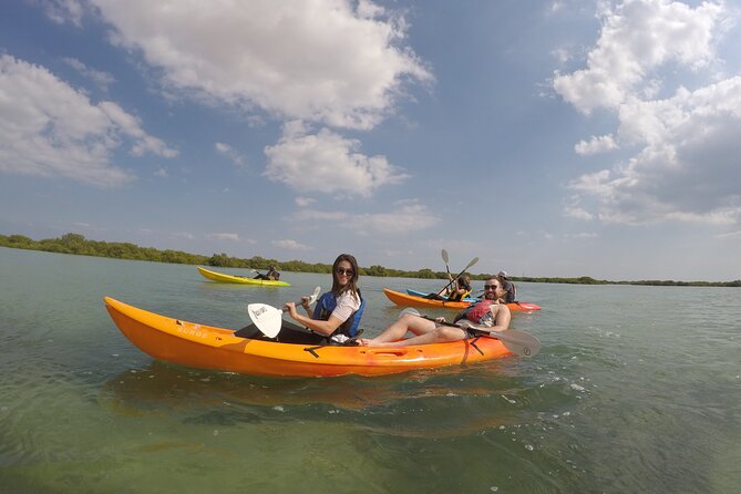 Mangrove Kayaking Purple Island Adventure
