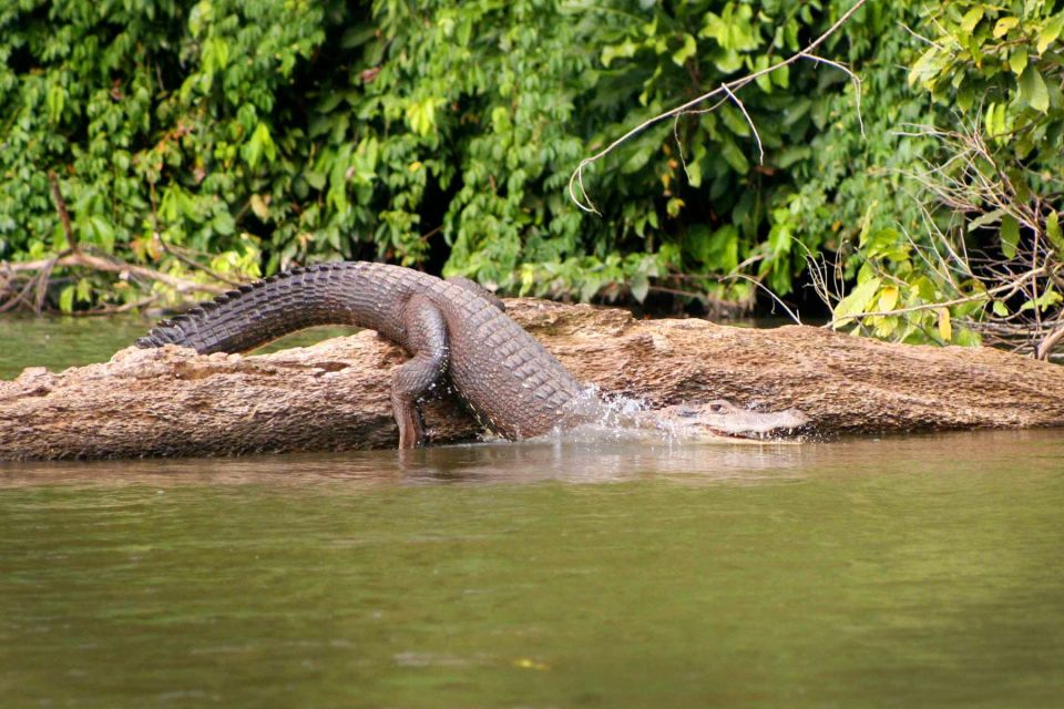 1 manu national park tour 3 days Manu National Park Tour 3 Days