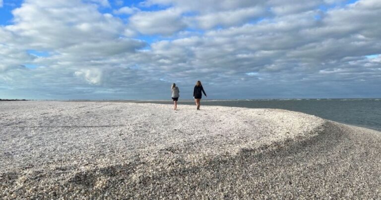 Marco Island: Barrier Island Shelling and Mangrove Tour