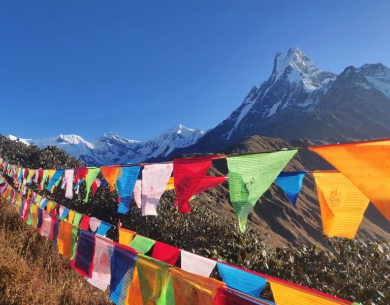 Mardi Himal Base Camp Yoga Trek 7-Day
