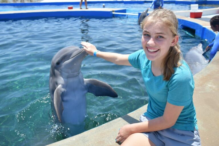 Marineland Dolphin Adventure, St. Augustine, Florida – Book Tickets & Tours