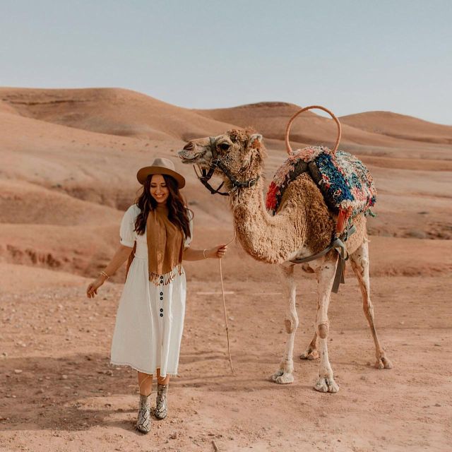 Marrakech: Agafay Desert Quad & Camel Rides With Dinner Show