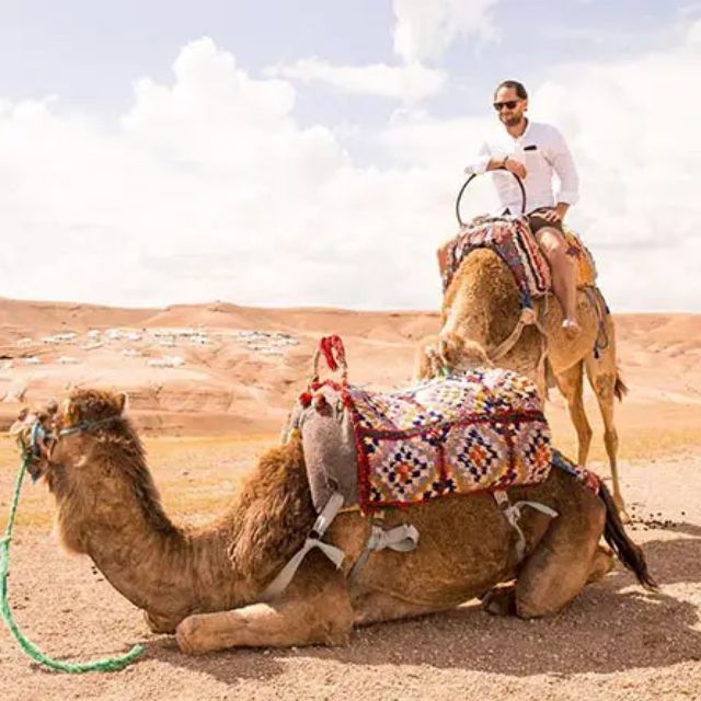 Marrakech: Agafay Desert Quad or Camel Trip With Dinner Show