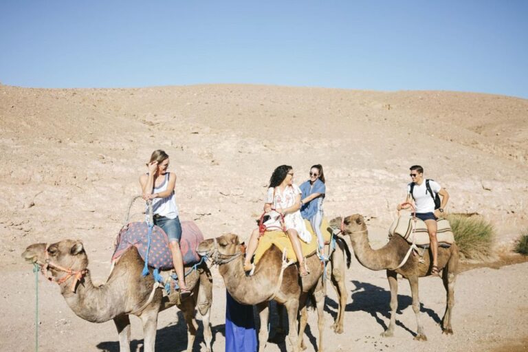 Marrakech: Atlas Mountains, Agafay Desert, Lunch, Camel Ride