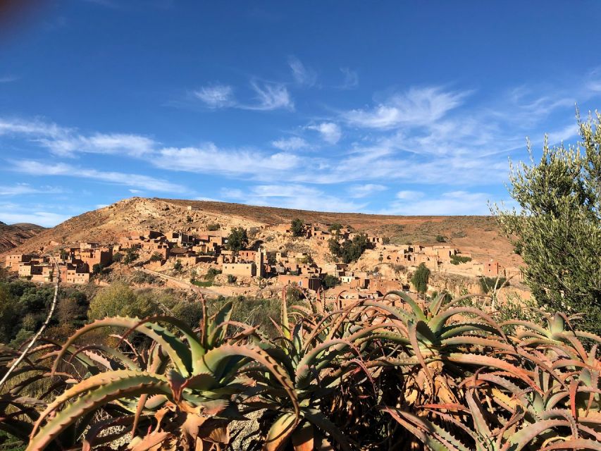 1 marrakech atlas mountains waterfall camel ride Marrakech: Atlas Mountains Waterfall & Camel Ride Experience