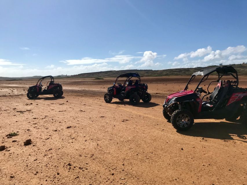 Marrakech Buggy Tour at the Palmgroves