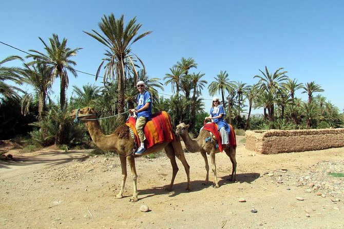 Marrakech Camel Ride at the Palm Groves