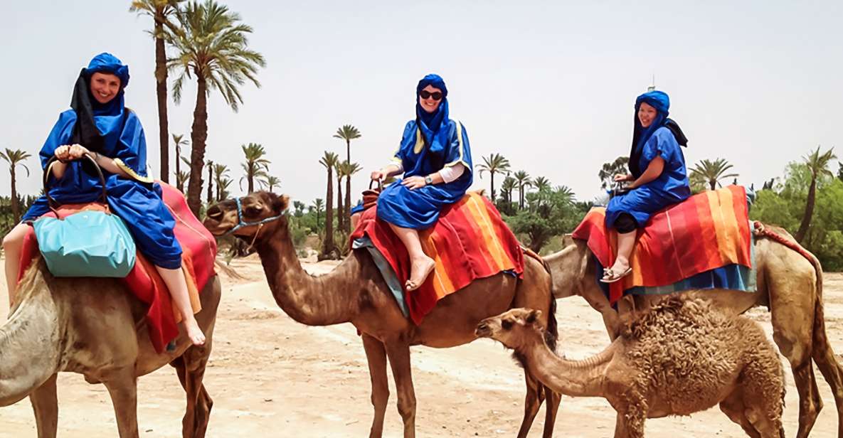 1 marrakech camel ride in the oasis palmeraie 3 Marrakech: Camel Ride in the Oasis Palmeraie