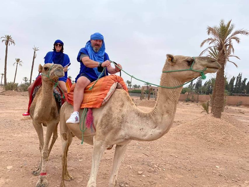 1 marrakech camel ride in the palm grove 4 Marrakech Camel Ride in the Palm Grove